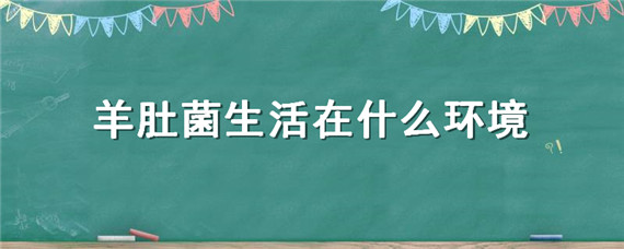 羊肚菌生活在什么环境 羊肚菌一般生活在什么地方