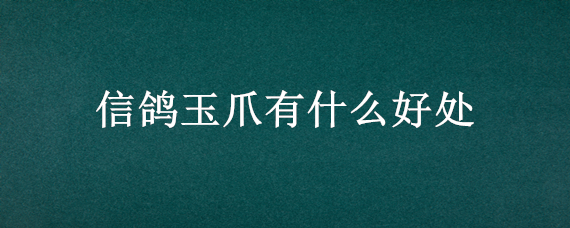 信鸽玉爪有什么好处（全玉爪的鸽子有什么好处）