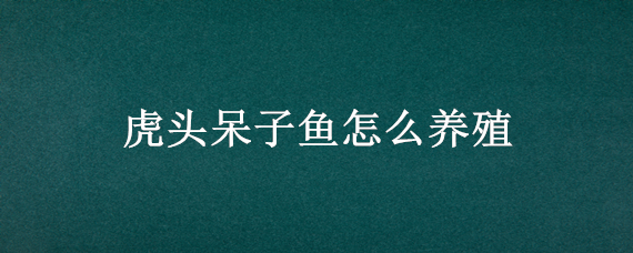 虎头呆子鱼怎么养殖（虎头呆子鱼人工养殖基地）