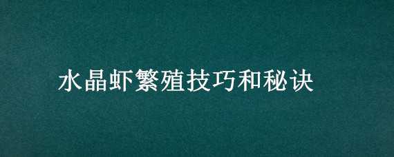 水晶虾繁殖技巧和秘诀（水晶虾繁殖技巧和秘诀图解）