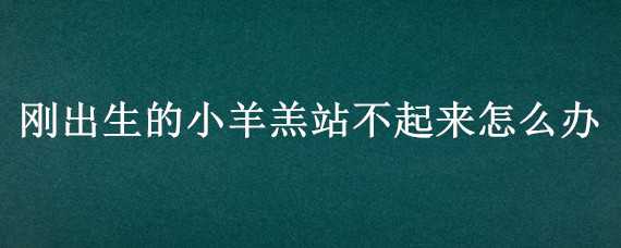 刚出生的小羊羔站不起来怎么办（刚出生的小羊羔站不起来怎么办 不吃东西）