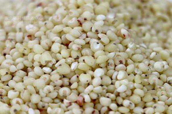 秫米与高粱米的区别，吃秫米的好处 秫秫和高粱的区别