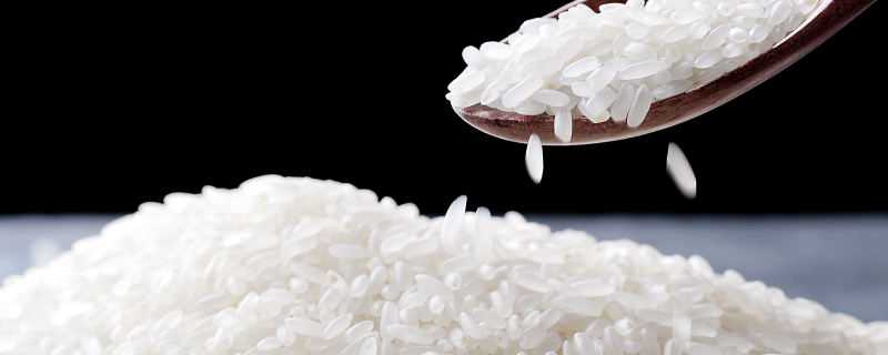 粳米和籼米的区别（籼米）