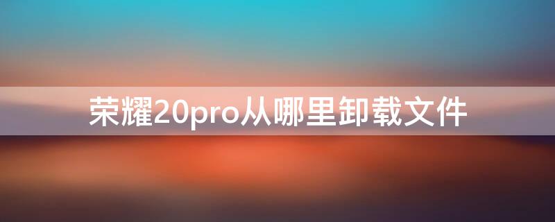 荣耀20pro从哪里卸载文件