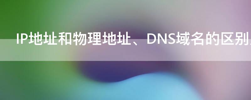 IP地址和物理地址、DNS域名的区别及相互关系