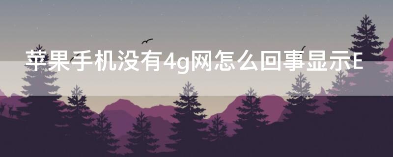 iPhone手机没有4g网怎么回事显示E iphone经常显示4g却没有网