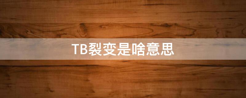 TB裂变是啥意思（TB之后是什么）