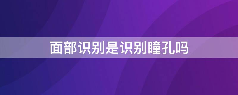 面部识别是识别瞳孔吗 人脸识别是识别瞳孔吗