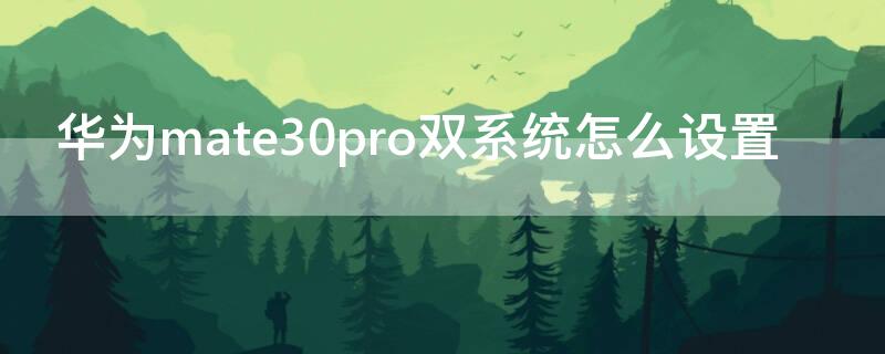 华为mate30pro双系统怎么设置 华为mate30pro怎样设置双系统