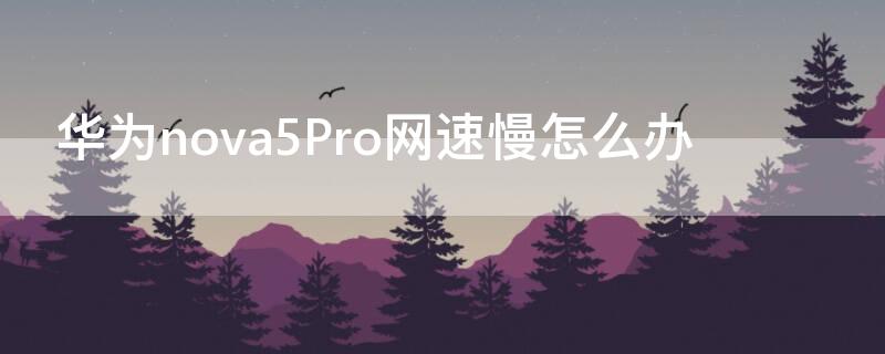 华为nova5Pro网速慢怎么办（华为nova5pro无线网速慢）