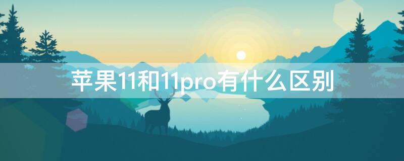 iPhone11和11pro有什么区别 iphone11 和11pro区别