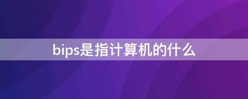 bips是指计算机的什么 bips是指计算机的什么含义