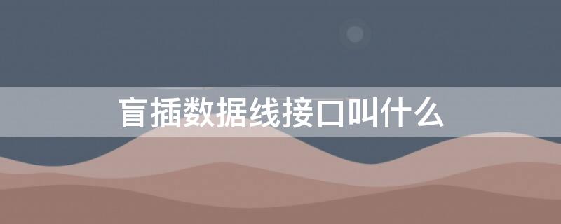 盲插数据线接口叫什么 盲插数据线是什么