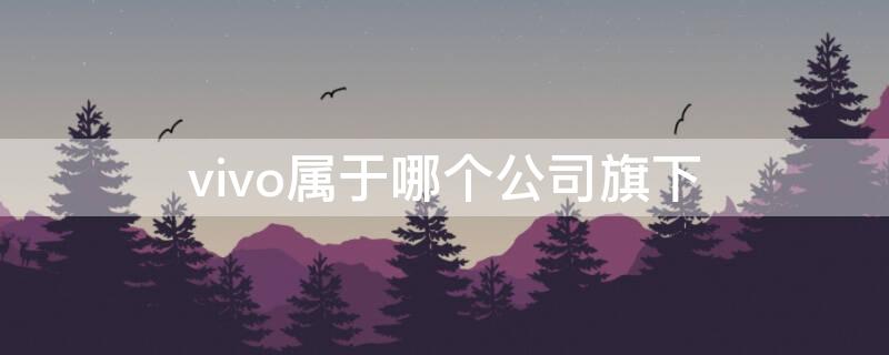 vivo属于哪个公司旗下（vivo属于哪家公司）