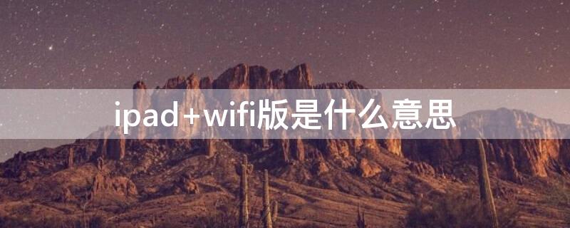 ipad wifi版是什么意思