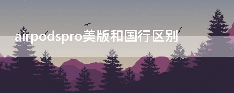 airpodspro美版和国行区别（airpods pro美版国行区别）