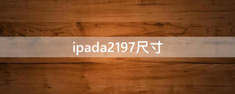 ipada2197尺寸（ipada2197是什么型号尺寸）