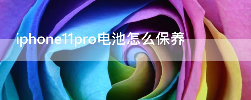 iPhone11pro电池怎么保养（iphone11pro电池保养技巧）