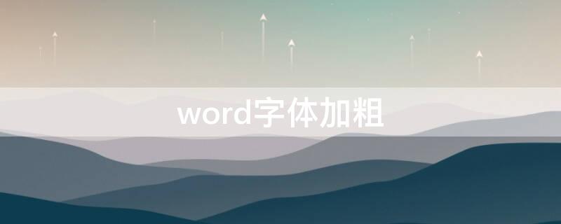 word字体加粗（word字体加粗取消不了）