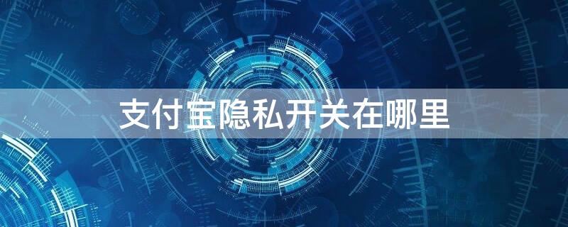 支付宝隐私开关在哪里 支付宝隐私开关在哪里找