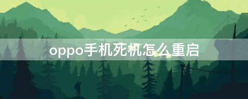 oppo手机死机怎么重启 oppo手机死机重启不了按电源键也没办法