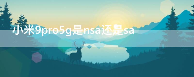 小米9pro5g是nsa还是sa 小米10pro5g采用NSA还是SA