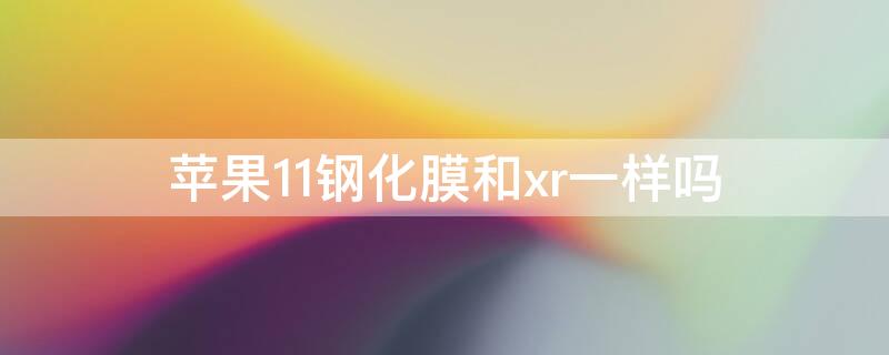 iPhone11钢化膜和xr一样吗（iphone12钢化膜和xr一样吗）