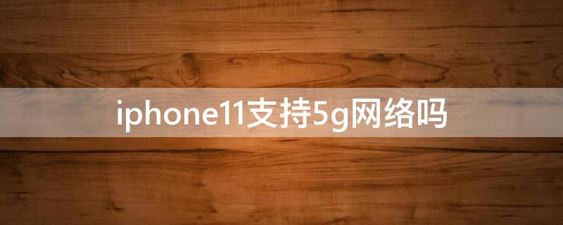 iPhone11支持5g网络吗（iphone12支持5g网络吗）