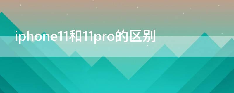 iPhone11和11pro的区别（苹果11和11pro max参数对比）