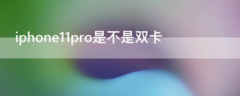 iPhone11pro是不是双卡（苹果11pro 是不是双卡双待）