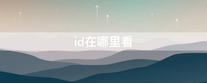 id在哪里看 王者id在哪里看