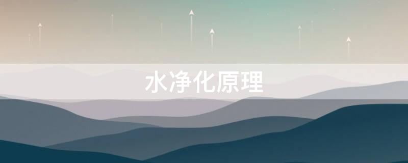 水净化原理（水净化技术有哪些）