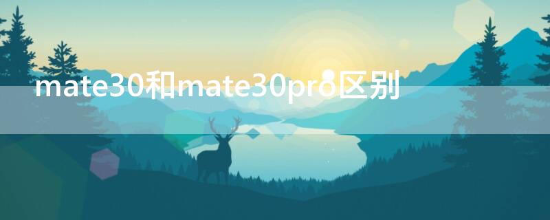 mate30和mate30pro区别（mate30和mate30pro区别在哪里）