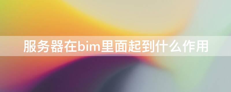 服务器在bim里面起到什么作用（bim 服务器）