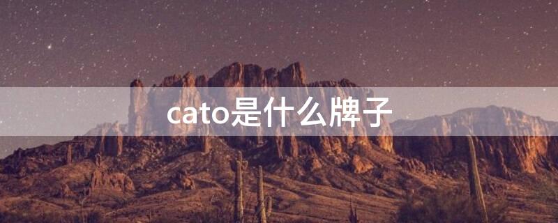 cato是什么牌子（STACCATO是什么牌子）