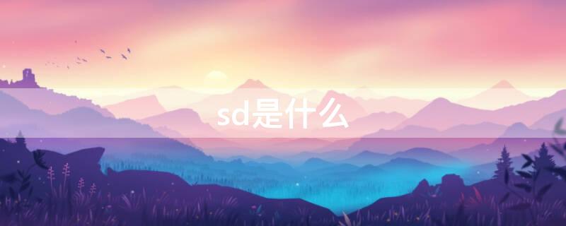 sd是什么 sd是什么意思