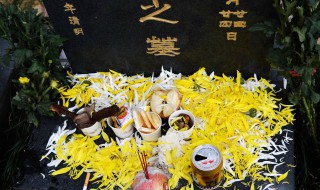 清明祭奠逝者鲜花用单数还是双数（祭奠鲜花为什么用单数）