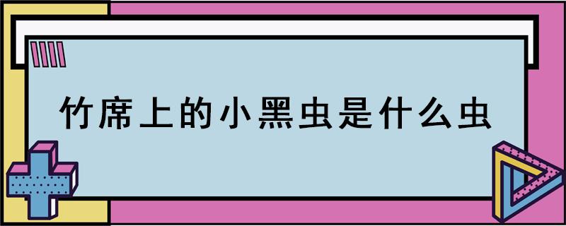 竹席上的小黑虫是什么虫