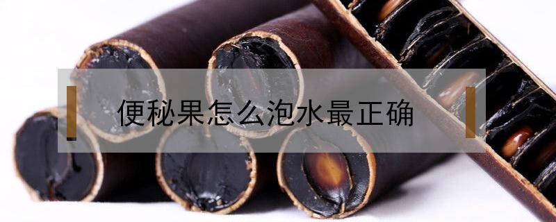 便秘果泡水喝要剥皮吗 便秘果泡水还用剥皮吗