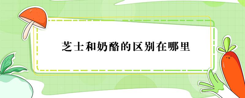 芝士和奶酪的区别在哪里 奶酪和芝士有何区别