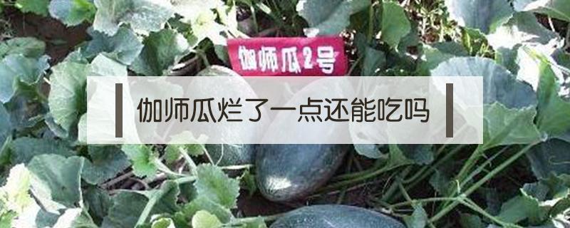 伽师瓜烂了一点还能吃吗 伽师瓜怎么吃