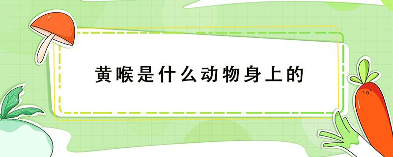 黄喉是什么动物身上的（海底捞黄喉是什么动物身上的）