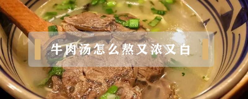 牛肉汤怎么熬又浓又白 牛肉汤怎么做的又白又浓