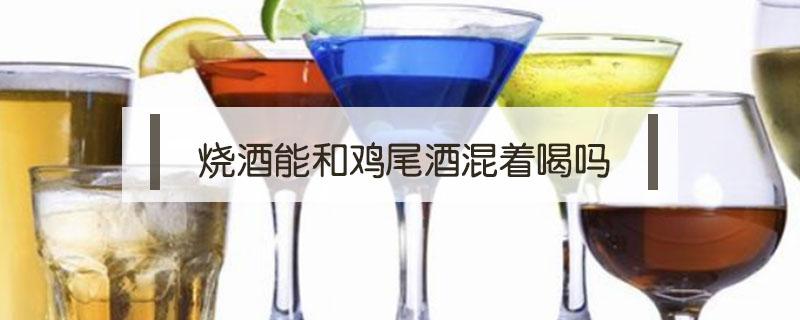 烧酒能和鸡尾酒混着喝吗 鸡尾酒能混合喝吗