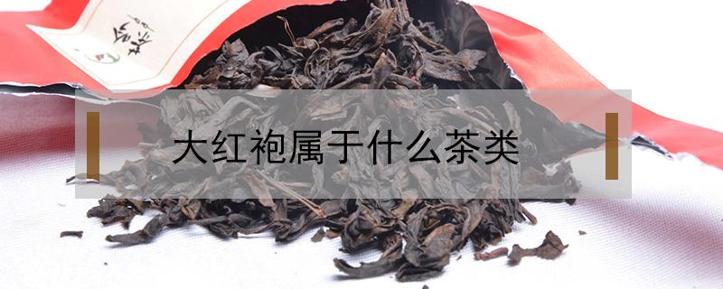 大红袍属于什么茶类（大红袍属于什么茶类,哪个季节喝）