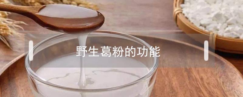 野生葛粉的功能（野生葛粉是什么东西）