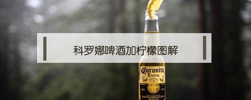 科罗娜啤酒加柠檬图解 科罗娜啤酒怎么喝 科罗娜怎么加柠檬