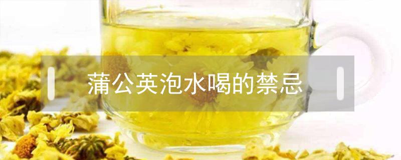 蒲公英泡水喝的禁忌（蒲公英泡水喝的禁忌什么食物中毒）