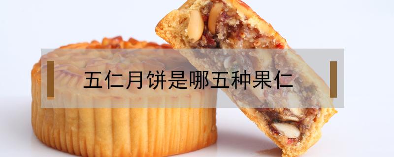 五仁月饼是哪五种果仁（五仁月饼和果仁月饼区别）