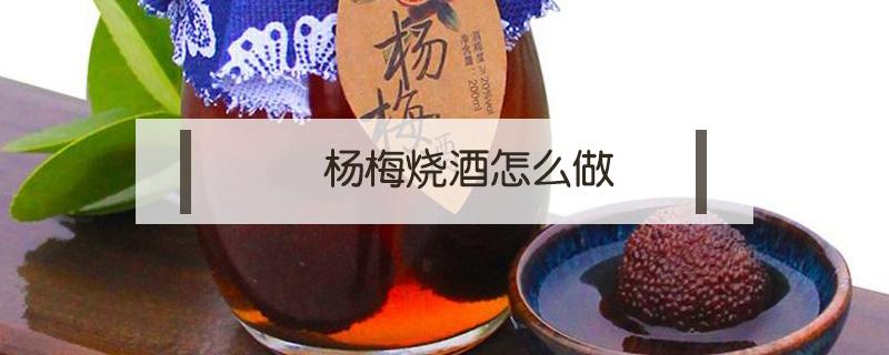 杨梅烧酒怎么做 杨梅酒烧菜